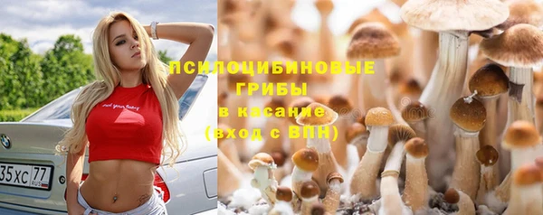гашиш Алзамай