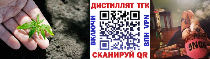 дарнет шоп  Динская  ТГК концентрат 
